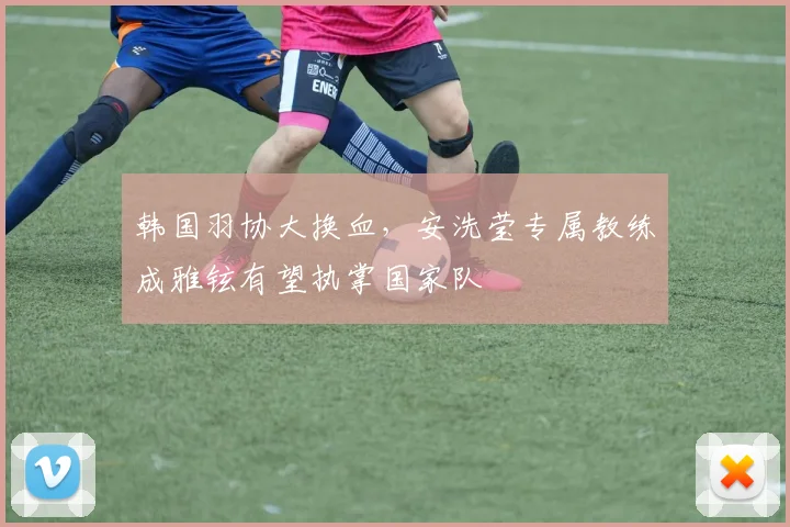 韩国羽协大换血,安洗莹专属教练成雅铉有望执掌国家队